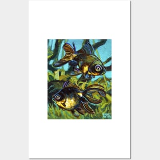 Colorful Black Moor Goldfish by Robert Phelps Posters and Art